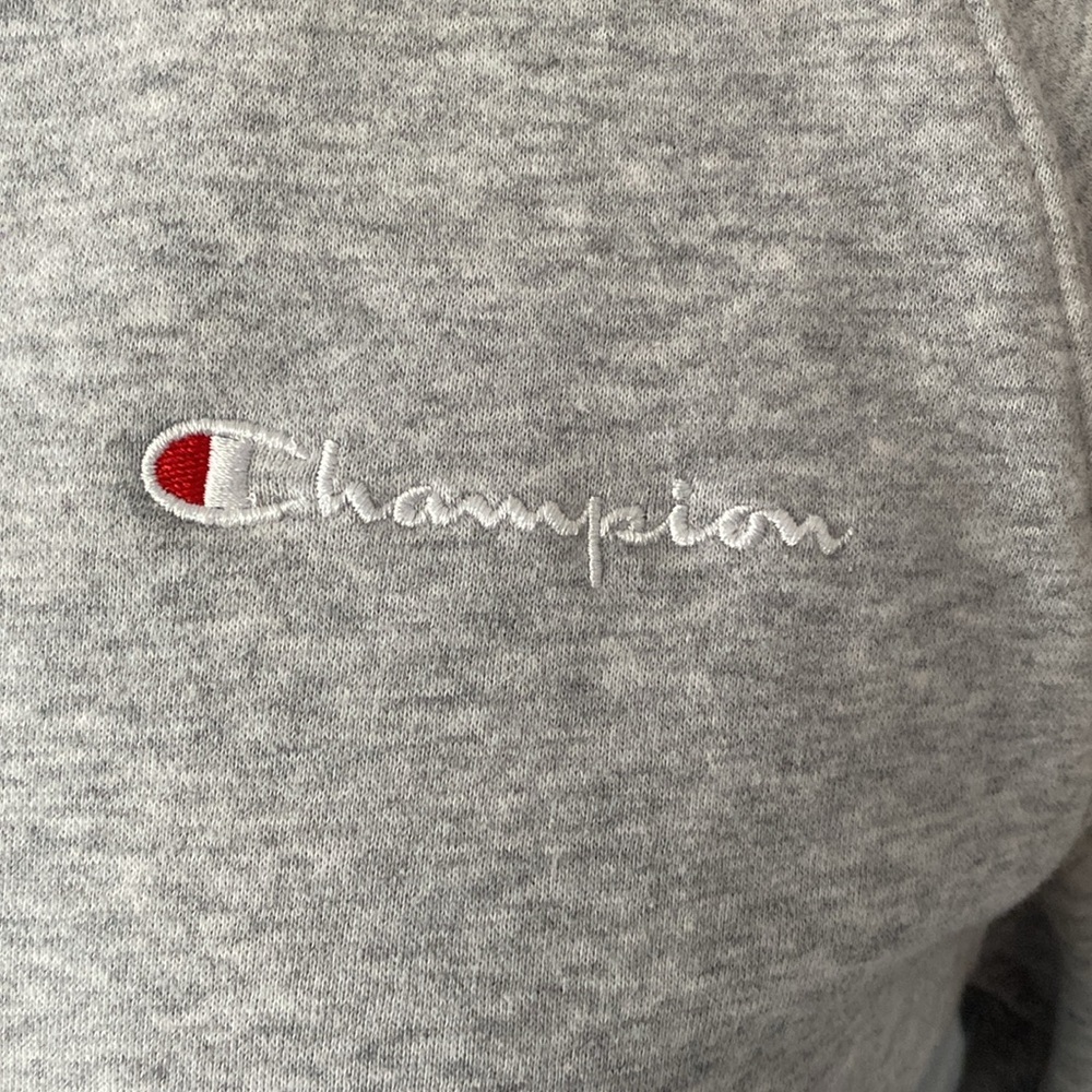Champion Gray Cropped Tie Front Hoodie - Picture 3 of 8